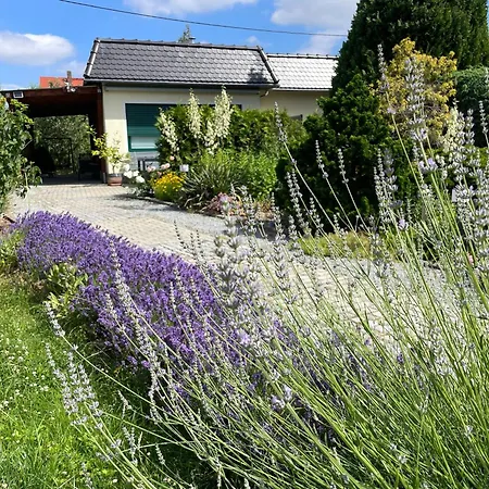 Amare Ferienhaus *