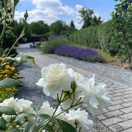 Amare Mit Fasssauna, Eigener Terrasse & Kamin *